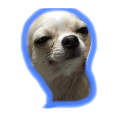[LINEスタンプ] merosama