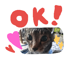 [LINEスタンプ] Kebeku