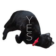 [LINEスタンプ] 黒猫サイコー！