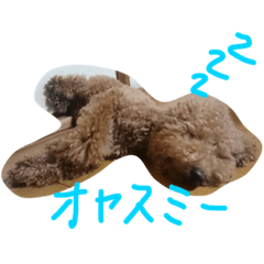 [LINEスタンプ] しんの休日