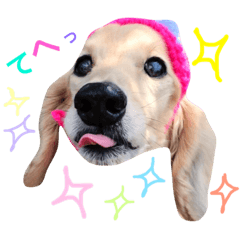 [LINEスタンプ] ダックスのショーン君