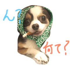 [LINEスタンプ] アポ兄弟