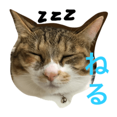 [LINEスタンプ] kuu＆anjie1