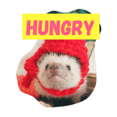 [LINEスタンプ] BB Thehedgehog