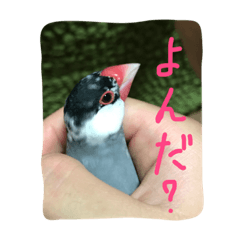 [LINEスタンプ] ANIbard2