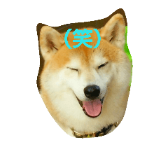 [LINEスタンプ] 柴顔判子