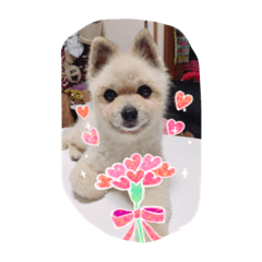 [LINEスタンプ] エース君♡