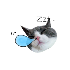 [LINEスタンプ] うちの猫しらす[2]