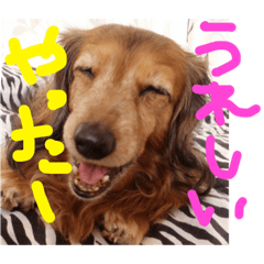 [LINEスタンプ] mtn