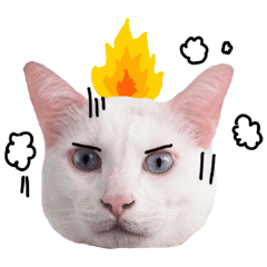 [LINEスタンプ] Cat will control the earth