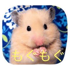 [LINEスタンプ] ハムスターの可愛いスタンプ