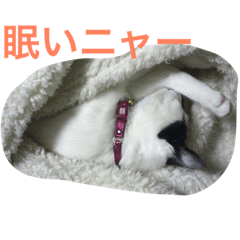 [LINEスタンプ] イタチとネコ