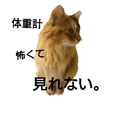 [LINEスタンプ] 猫すたんぷ×ソマリ