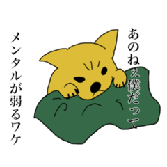 [LINEスタンプ] チワワのスタンプです