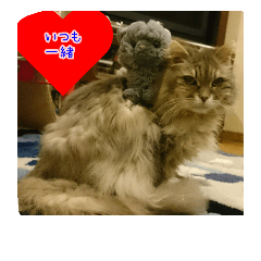 [LINEスタンプ] cat7