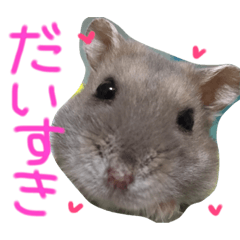 [LINEスタンプ] ハムスターの“ハムちゃん”