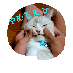 [LINEスタンプ] chibow2