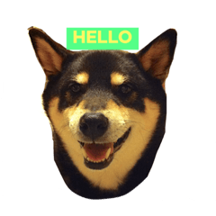[LINEスタンプ] 黒柴ともさんの日々