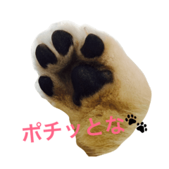 [LINEスタンプ] ゴールデンレトリバーのルナ