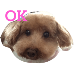 [LINEスタンプ] 吉田家のもも