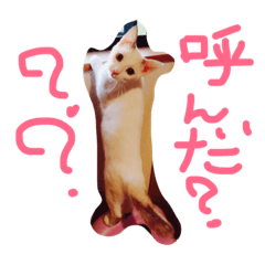 [LINEスタンプ] Ame chan