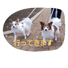 [LINEスタンプ] ちたとるうかす