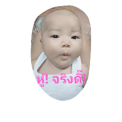 [LINEスタンプ] Promklaw PP