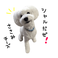 [LINEスタンプ] シャルロット♪