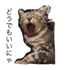 [LINEスタンプ] あめしょとのら
