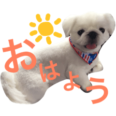 [LINEスタンプ] 豆田家スタンプ
