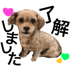 [LINEスタンプ] ヒメヒナ