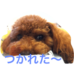 [LINEスタンプ] ティノの日常挨拶