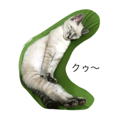 [LINEスタンプ] 猫のやつ