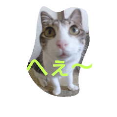 [LINEスタンプ] ソロンとミシル