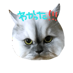 [LINEスタンプ] topponeko