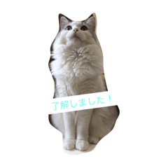 [LINEスタンプ] ミルキーのニャンダフルライフ
