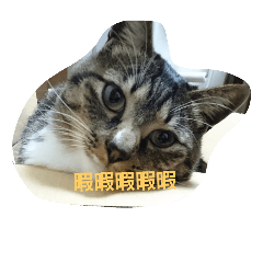 [LINEスタンプ] t...m