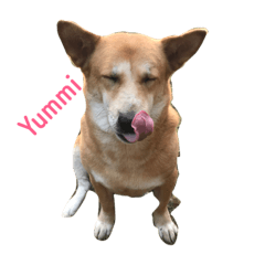 [LINEスタンプ] Luntao1