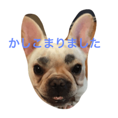 [LINEスタンプ] FrenchFuku