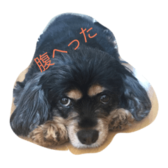 [LINEスタンプ] lililoa