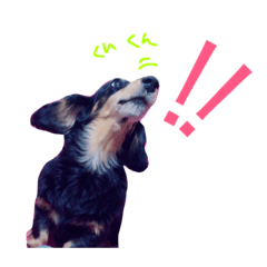 [LINEスタンプ] ビーとラー