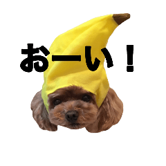 [LINEスタンプ] わんわん応援隊