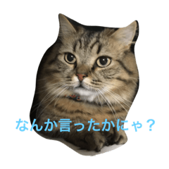 [LINEスタンプ] スティルフラン