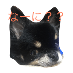 [LINEスタンプ] メロメロめろん
