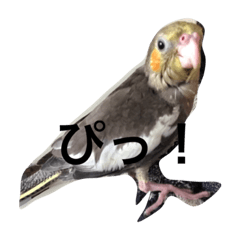 [LINEスタンプ] haP life