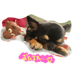 [LINEスタンプ] 自由犬