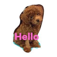 [LINEスタンプ] ちったんスタンプ