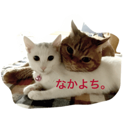 [LINEスタンプ] Taro.Hana