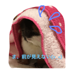 [LINEスタンプ] もる日記