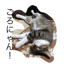 [LINEスタンプ] 猫のこじろーの日常をどうぞ！